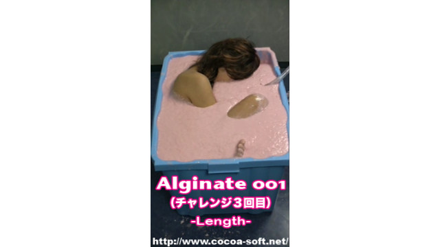 Alginate 001 Challenge 3 -Length-