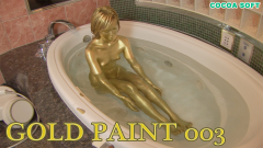 GOLD PAINT All Set