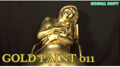 GOLD PAINT All Set