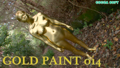 GOLD PAINT All Set