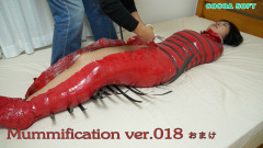 Mummification Complete Series Set