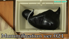 Mummification Complete Series Set