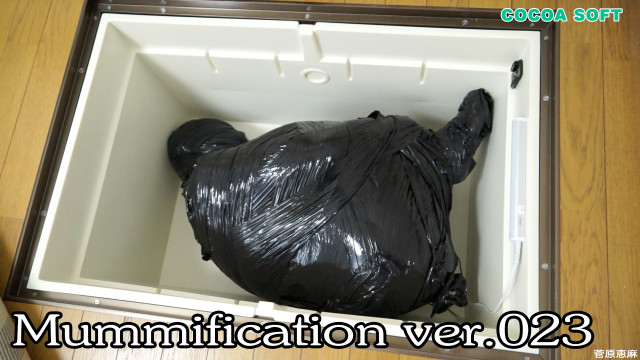 Mummification ver.023