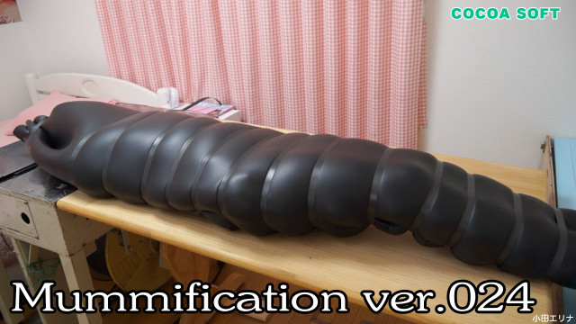 Mummification ver.024