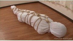 Mummification ver.012