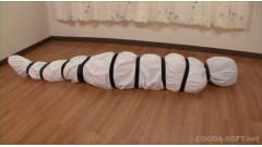 Mummification ver.012