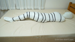 Mummification ver.016