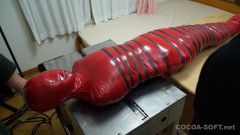 Mummification ver.018