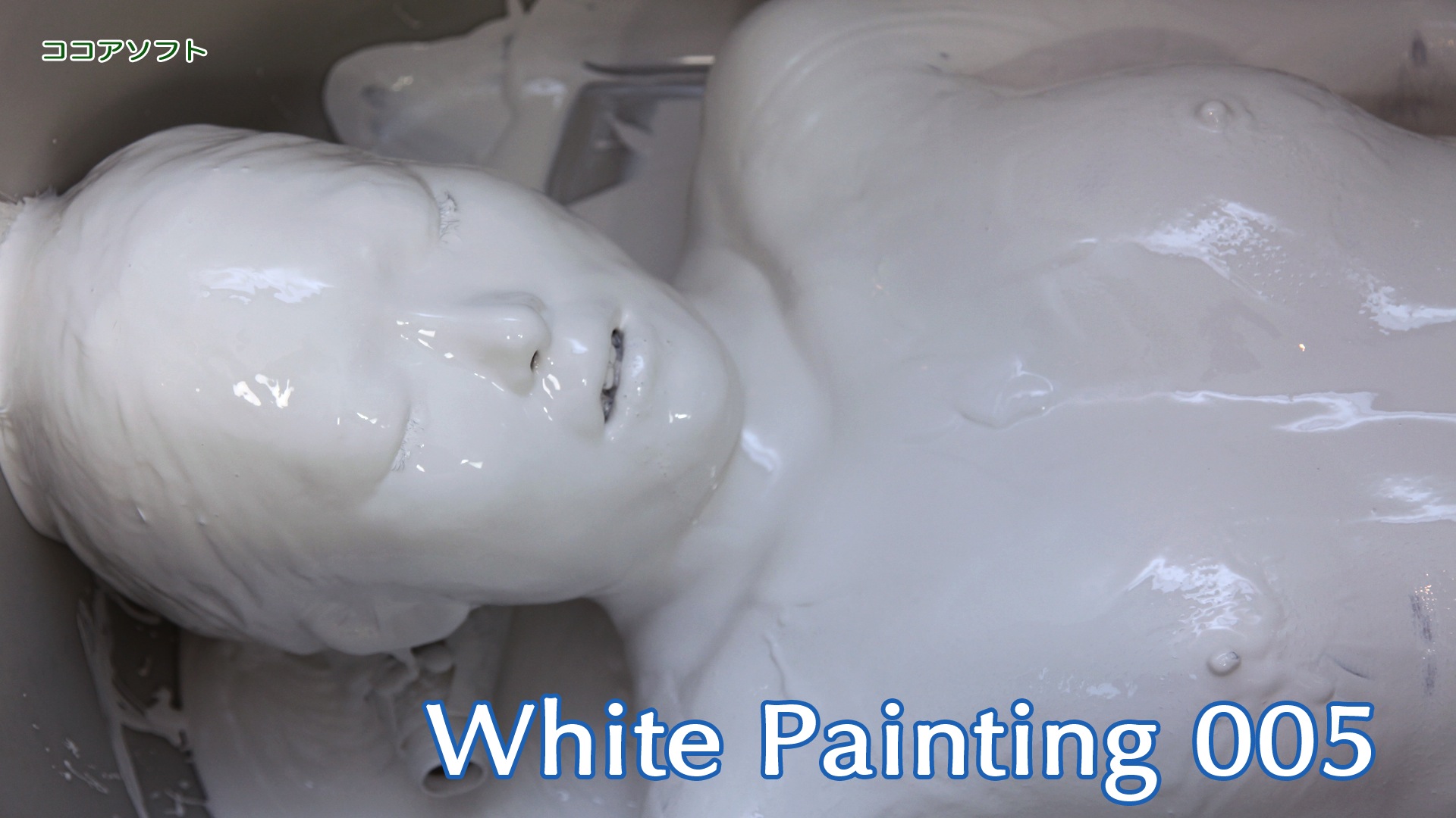 White Painting 005